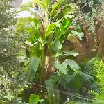 Mezzanino Con Patio E Archi A Vela *