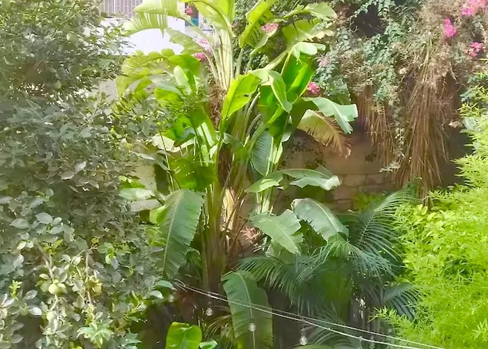 Mezzanino Con Patio E Archi A Vela *